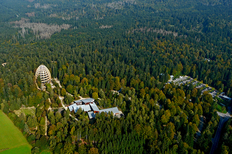 Illustration for article titled Germany's new 18-story Tree Top Walk is shaped like a giant egg